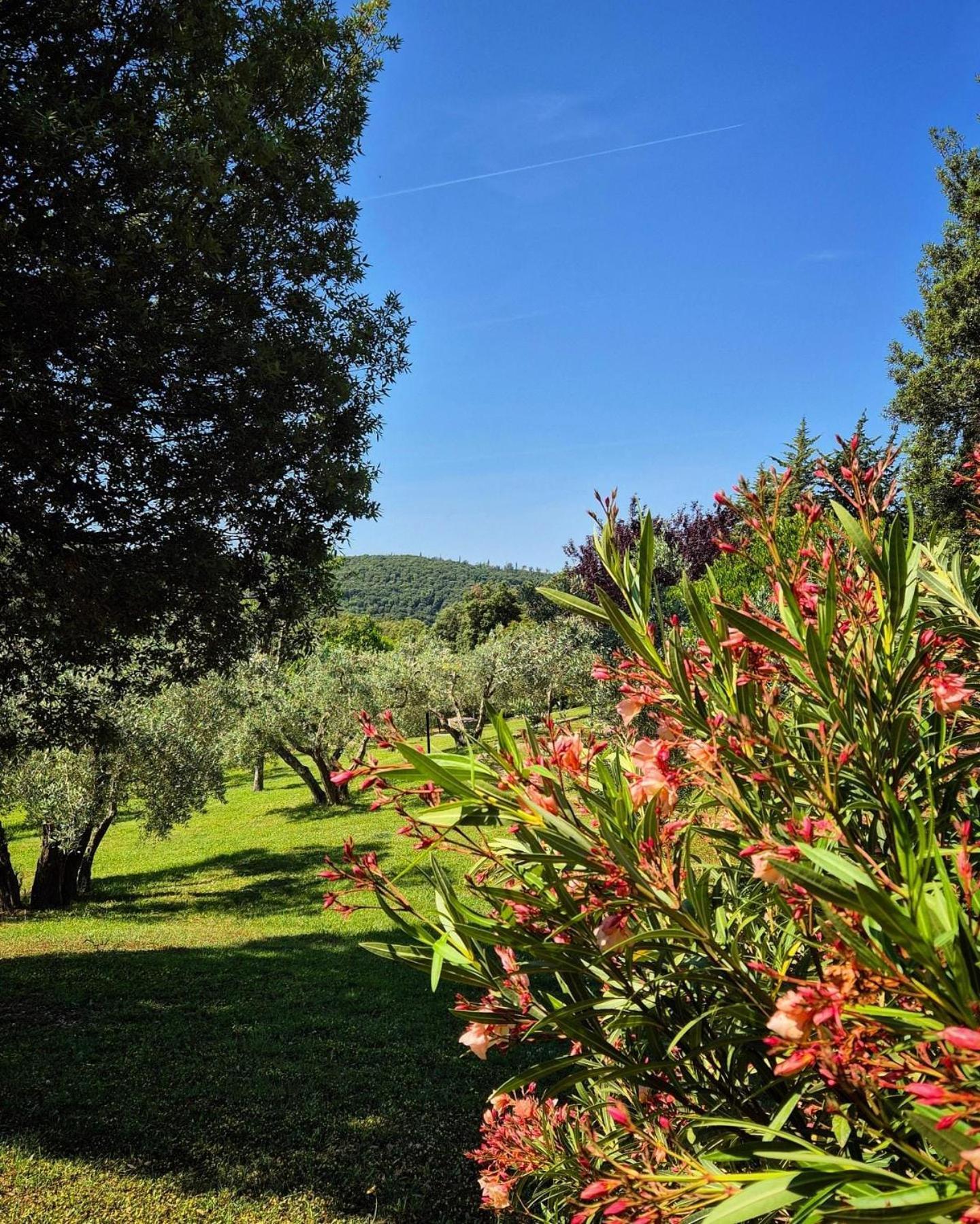 Tenuta Aronne ماسا ماريتيما المظهر الخارجي الصورة