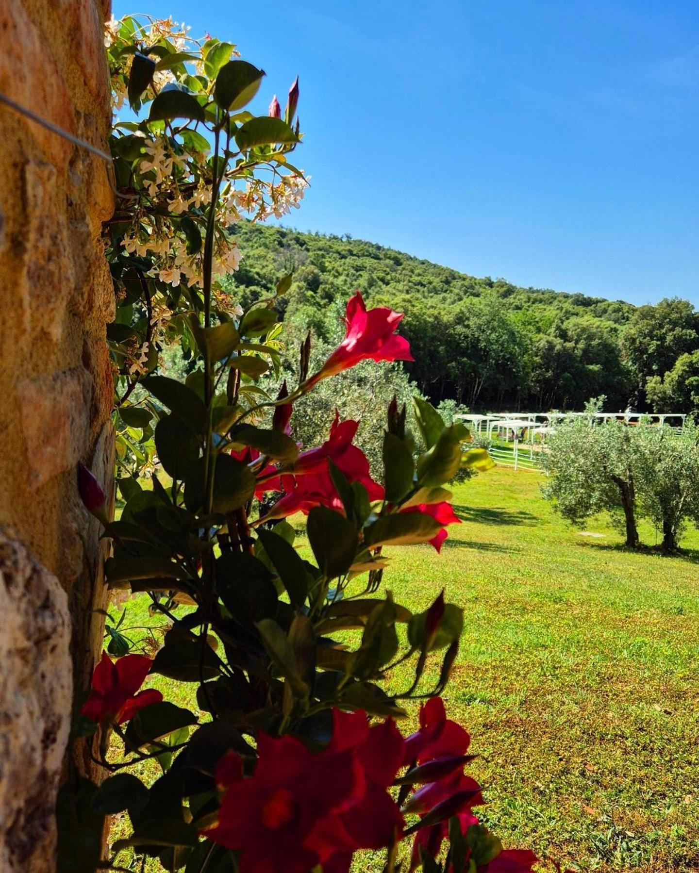 Tenuta Aronne ماسا ماريتيما المظهر الخارجي الصورة